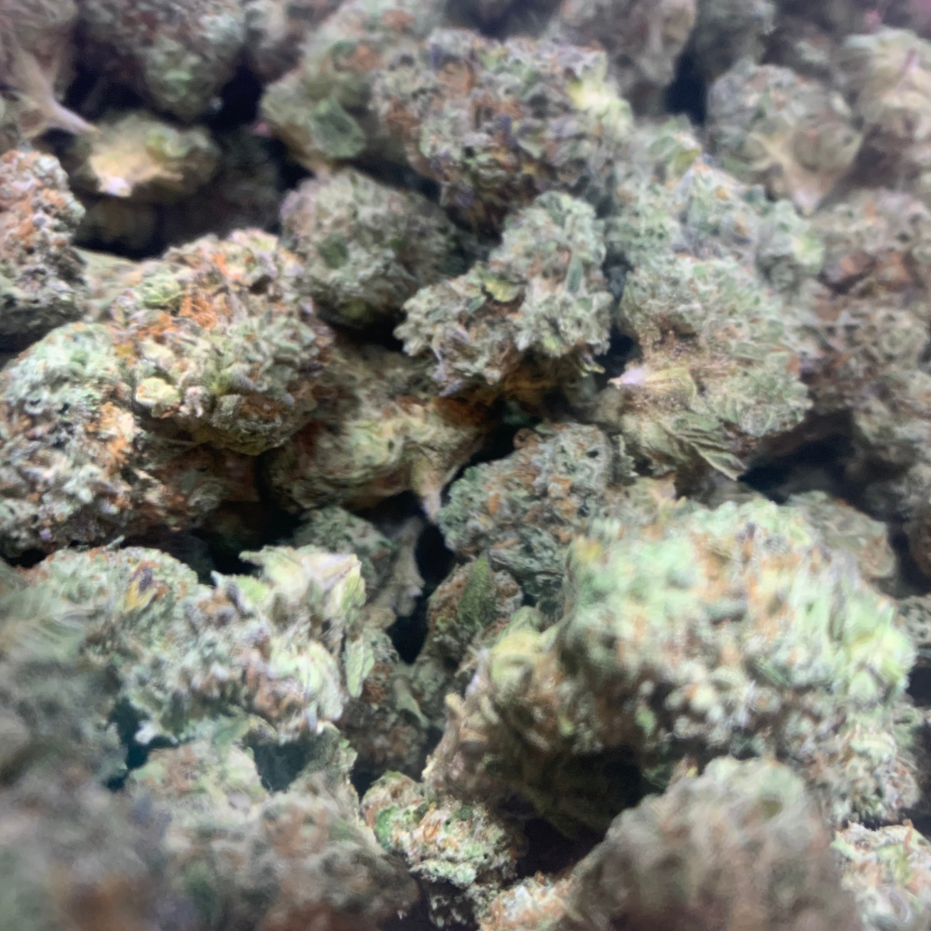 High Octane x Gelato Leafly